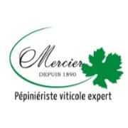 mercier groupe - Wimi