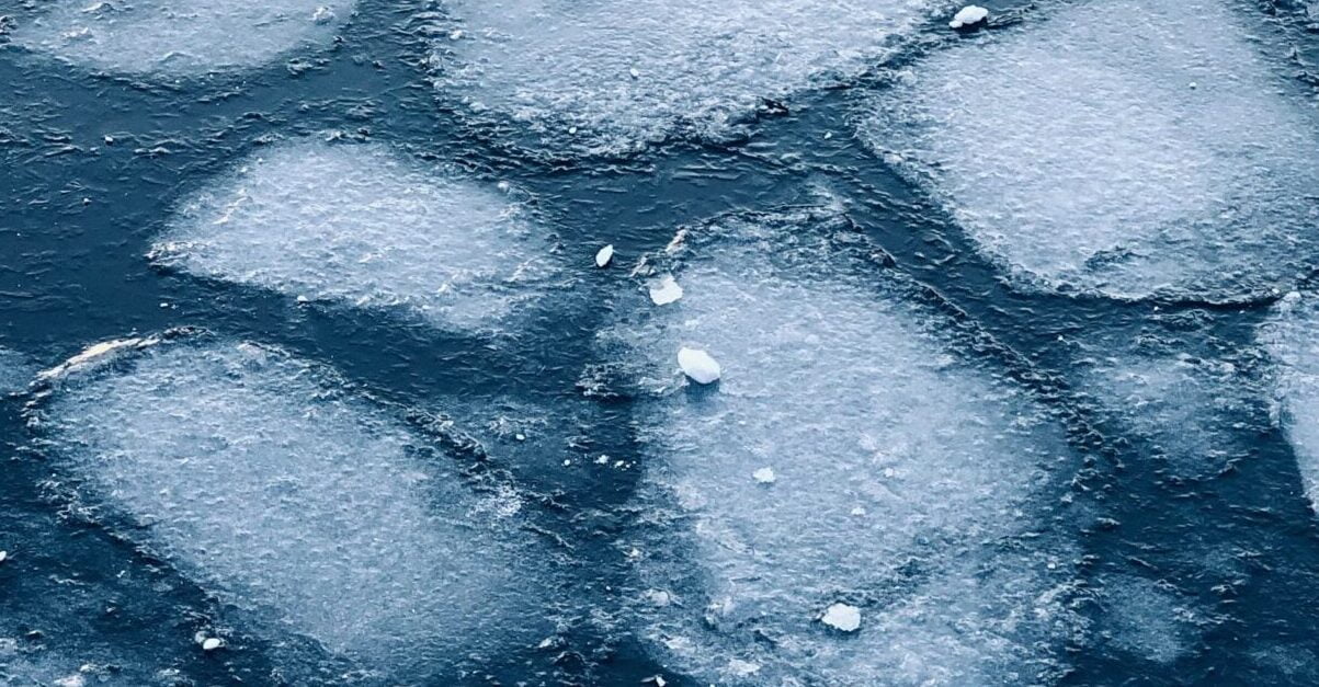 Formation Icebreaker en réunion : Maîtriser l'art de briser la glace